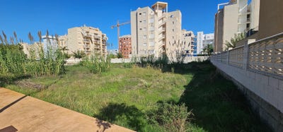 /international/es/piles-valencian-community-310106079660/