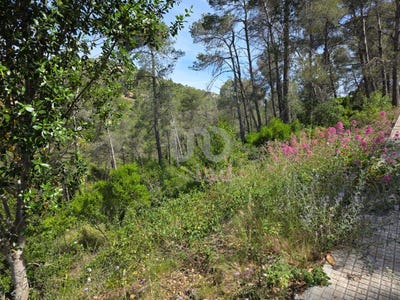 /international/es/barcelona-catalonia-310101106675/?lang=zh-tw