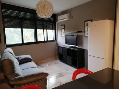 /international/es/sevilla-andalusia-310100288839/