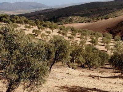 /international/es/sierra-de-yeguas-andalusia-310104921818/