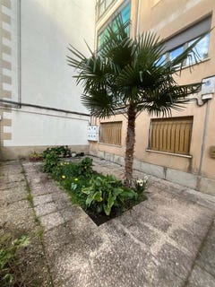 /international/es/ciudad-rodrigo-castile-and-leon-310106682141/