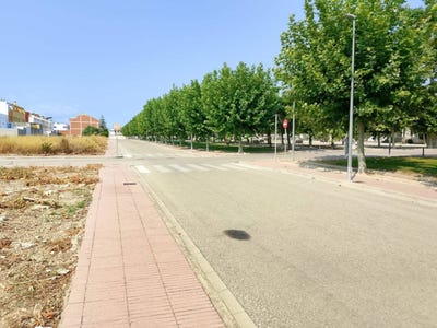 /international/es/botanico-cabanilles-piles-valencian-community-310109640497/