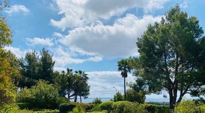 /international/es/bendinat-illes-balears-baleares-120082121924/