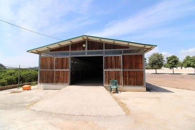 /international/es/almenara-valencian-community-310101280901/?lang=zh-tw