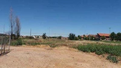 /international/es/alovera-castile-la-mancha-310101352908/?lang=zh-tw