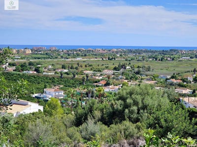 /international/es/oliva-valencian-community-310101993792/