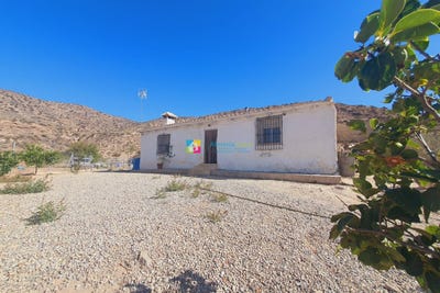 /international/es/albox-andalusia-310103517463/