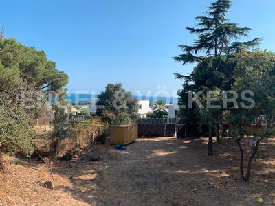 /international/es/mataro-catalonia-310094938313/