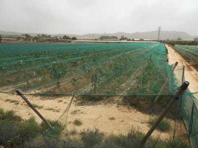 /international/es/monforte-del-cid-valencian-community-310108954719/?lang=fr