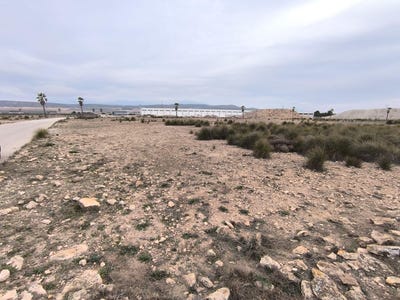 /international/es/yecla-region-of-murcia-310100735871/