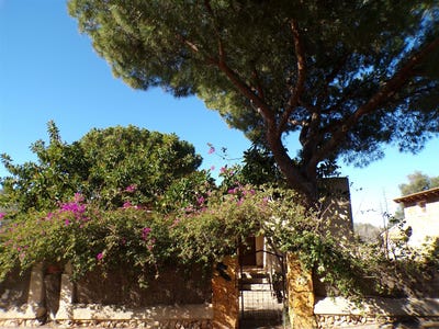 /international/es/santanyi-balearic-islands-310108330626/