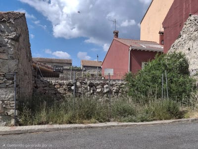 /international/es/peguerinos-castile-and-leon-310108988785/