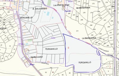 /international/es/cuadros-castile-and-leon-310101274964/?lang=zh-tw