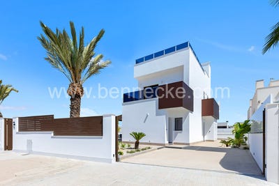 /international/es/elche-valencian-community-310106839847/