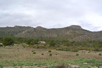/international/es/yecla-region-of-murcia-310100736054/