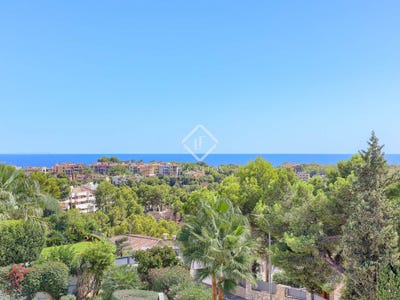 /international/es/sas-catala-catalonia-310101323594/