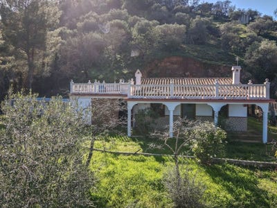 /international/es/guaro-andalusia-310098745105/