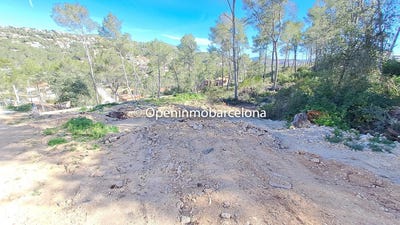 /international/es/olivella-catalonia-310107520668/