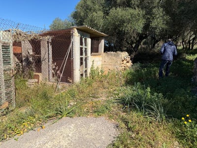 /international/es/santa-margalida-balearic-islands-310110285325/