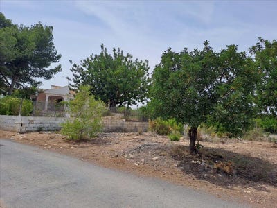 /international/es/betera-valencian-community-310105828639/