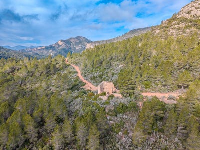 /international/es/pratdip-catalonia-310106164426/
