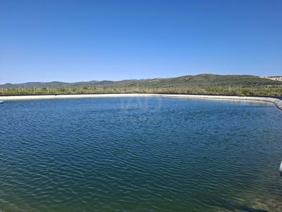 /international/es/partida-el-pou-joa-ulldecona-catalonia-310107420864/