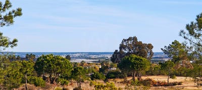 /international/es/calle-lentisco-lepe-andalusia-310108040729/
