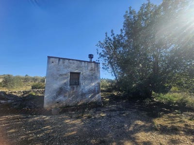 /international/es/carrer-del-pla-de-corany-freginals-catalonia-310105818406/