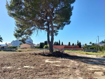 /international/es/calpe-valencian-community-310105741215/