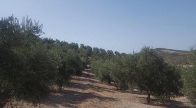 /international/es/quesada-andalusia-310101275412/?lang=zh-tw