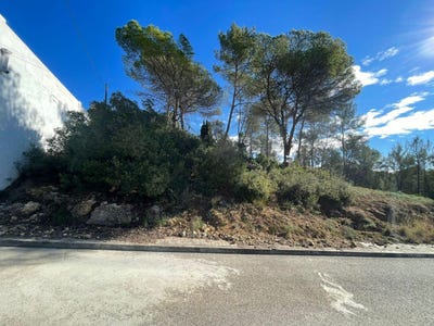 /international/es/olivella-catalonia-310108455165/