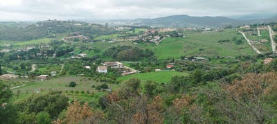 /international/es/pona-andalusia-310096553089/