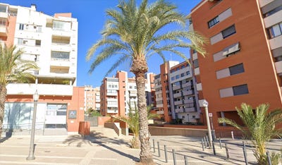 /international/es/elche-elx-valencian-community-310103445361/