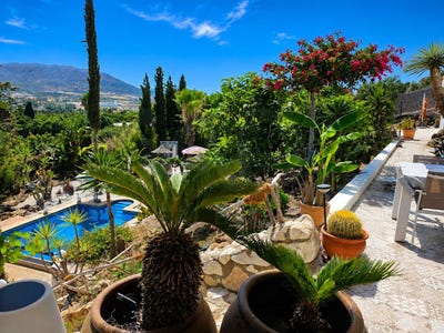 /international/es/calle-garza-alhaurin-de-la-torre-andalusia-310109905267/