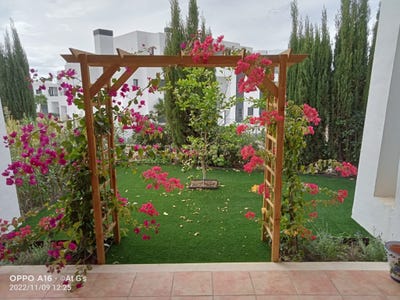 /international/es/casares-andalusia-310100826786/
