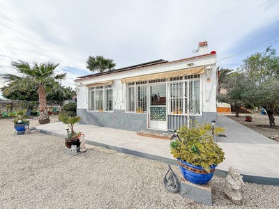 /international/es/elche-valencian-community-310108900748/?lang=es