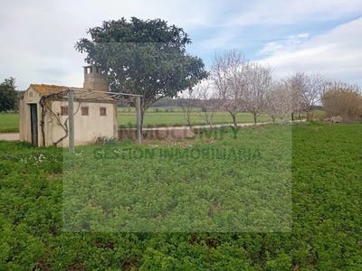 /international/es/palau-sator-catalonia-310107178283/