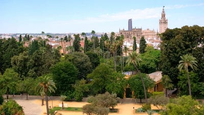 /international/es/sevilla-andalusia-310109763036/