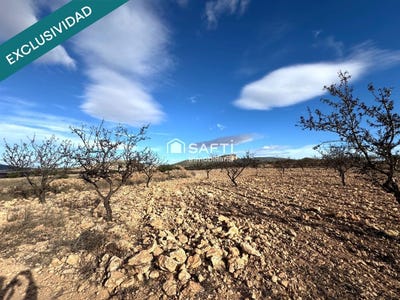 /international/es/monovar-valencian-community-310105739524/