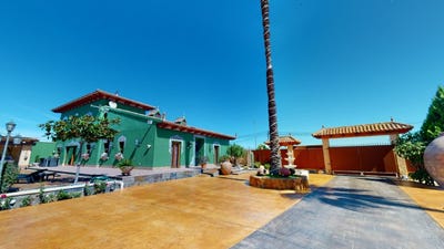 /international/es/almoradi-a-almoradi-valencian-community-310108921386/