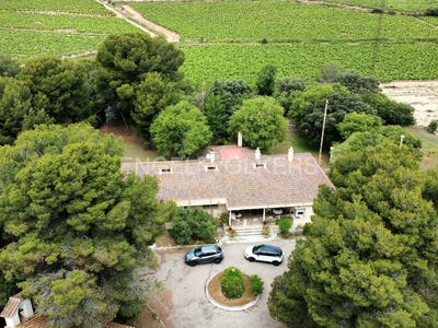 /international/es/banyeres-del-penedes-catalonia-120093589828/
