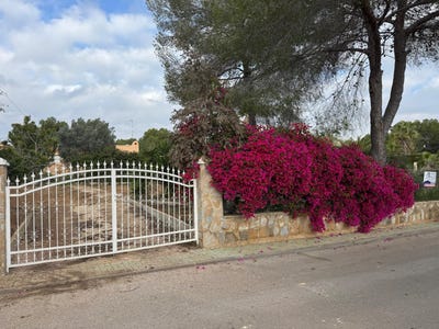 /international/es/calle-higuera-p-c-pinar-de-campoverde-valencian-community-310108155560/