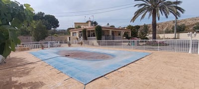 /international/es/elche-valencian-community-310107600746/