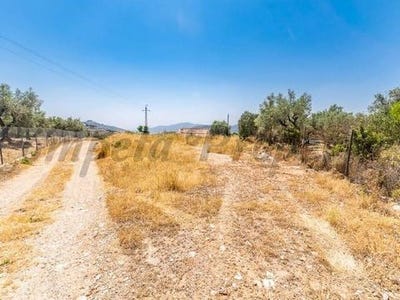 /international/es/competa-andalusia-120090071447/