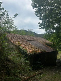 /international/es/bermeo-basque-country-310109148116/