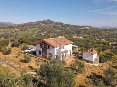 /international/es/guaro-andalusia-310098702687/?lang=en