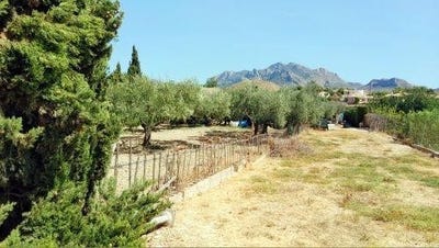 /international/es/busot-valencian-community-120082035409/
