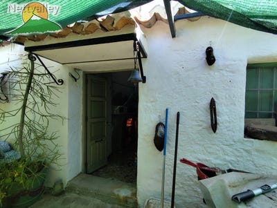 /international/es/camino-pago-las-cuevas-s-n-comares-andalusia-310108725877/