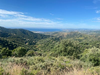 /international/es/estepona-andalusia-310099552595/