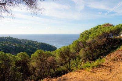 /international/es/lloret-de-mar-catalonia-310100740410/